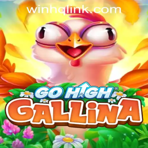 An In-Depth Look at GoHighGallina and Its Exciting Features